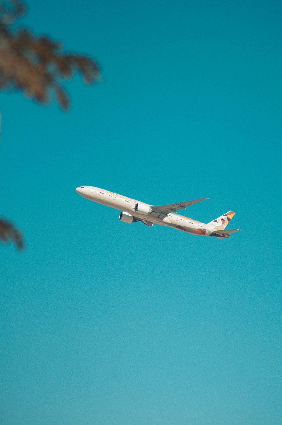 Air freight and international cargo shipment solutions