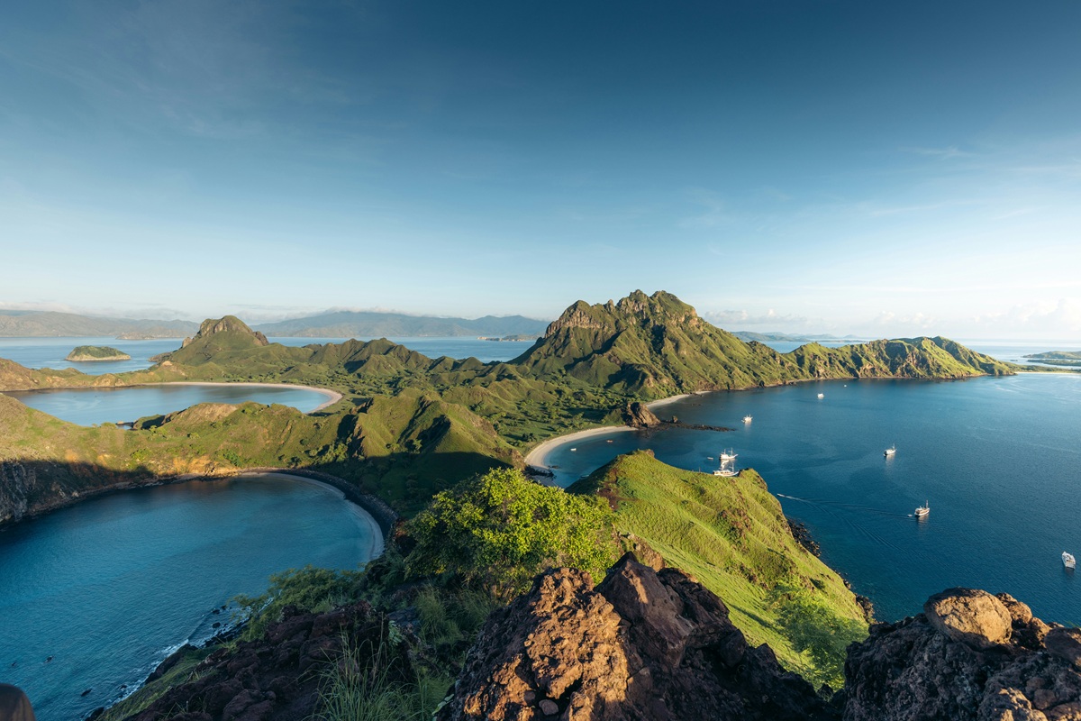 Maritim Internasional Transpor shipping and logistics operations